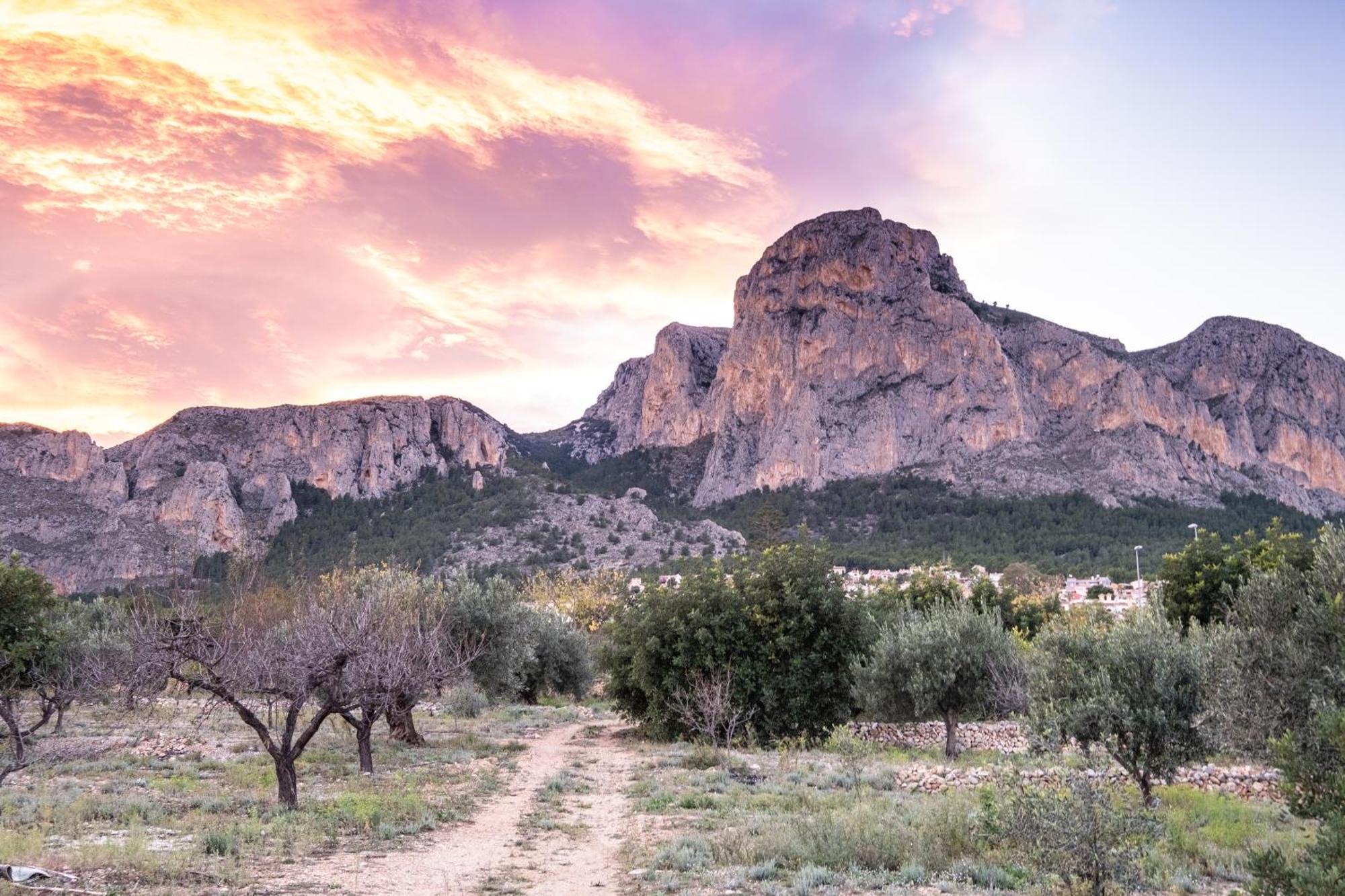 Appartement Aventino Albir アルビール エクステリア 写真